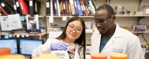 Two doctors in the research lab looking at petri dish