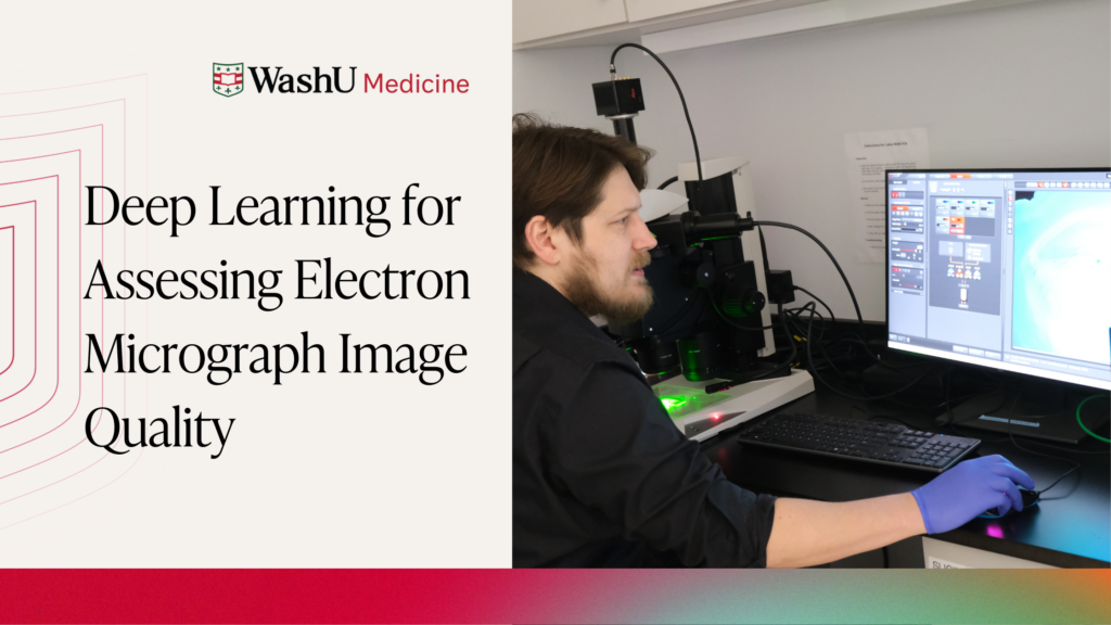 Deep Learning for Assessing Electron Micrograph Image Quality 