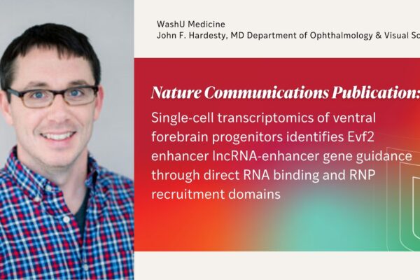 Groundbreaking Study Reveals How lncRNA Evf2 Guides Forebrain Interneuron Development