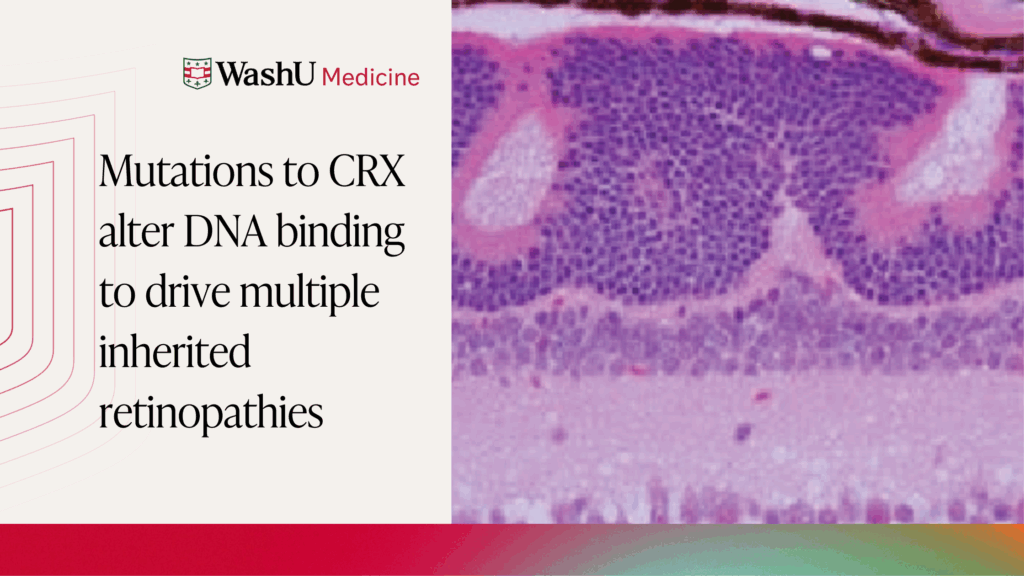 Mutations to CRX alter DNA binding to drive multiple inherited retinopathies