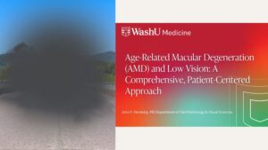 Age-Related Macular Degeneration (AMD) and Low Vision: A Comprehensive, Patient-Centered Approach