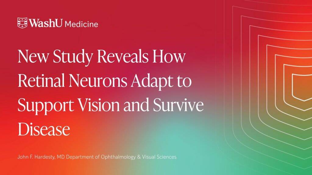 New Study Reveals How Retinal Neurons Adapt to Support Vision and Survive Disease