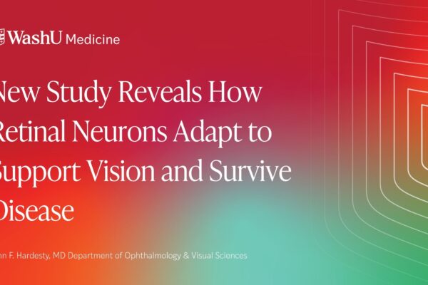 New Study Reveals How Retinal Neurons Adapt to Support Vision and Survive Disease