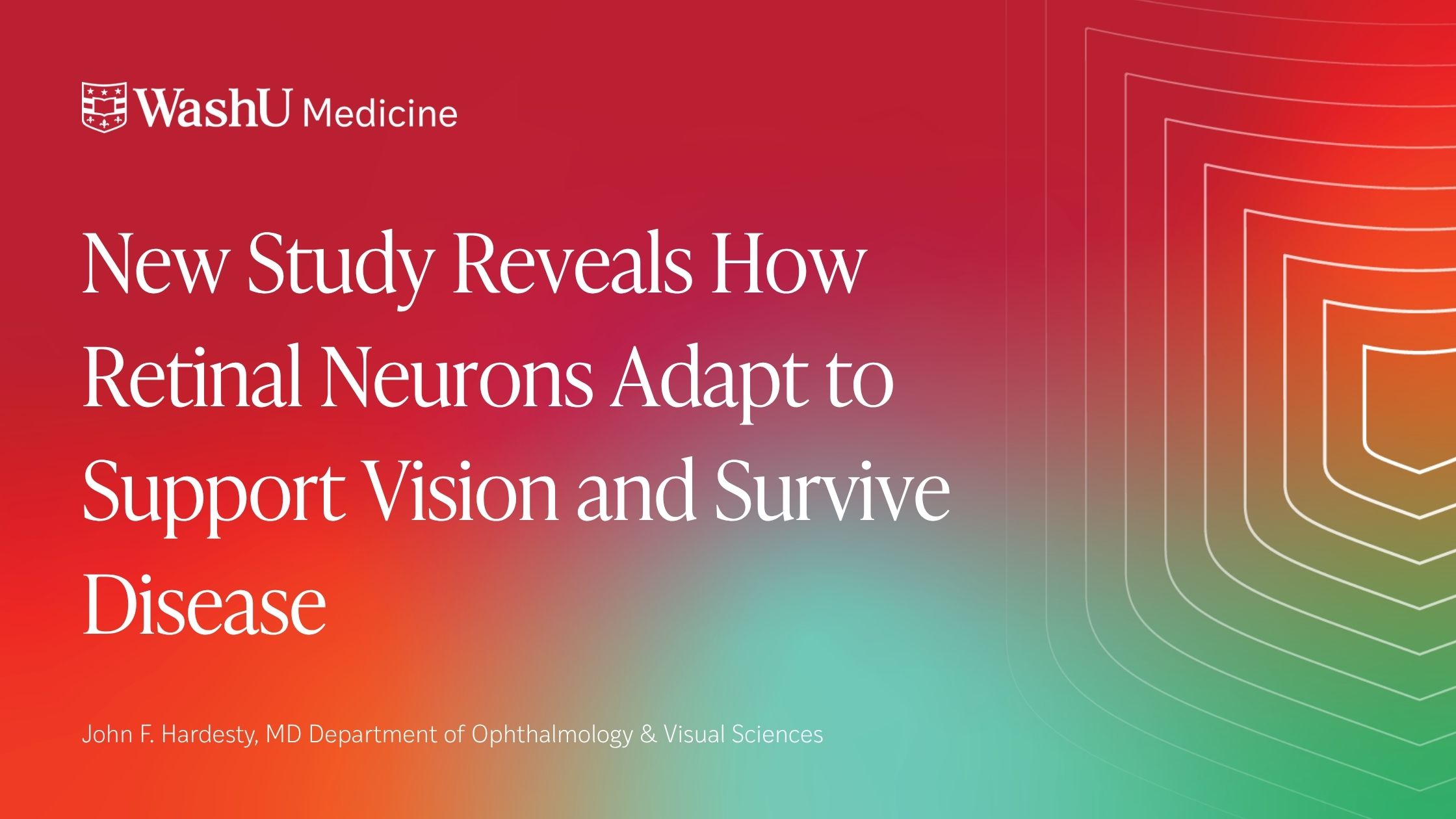 New Study Reveals How Retinal Neurons Adapt to Support Vision and Survive Disease