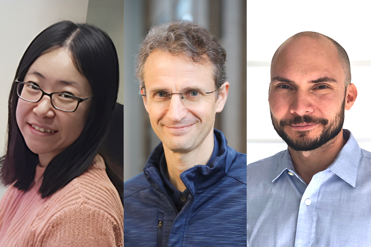 Genome-wide screen yields new gene therapies to protect against retinal degeneration
