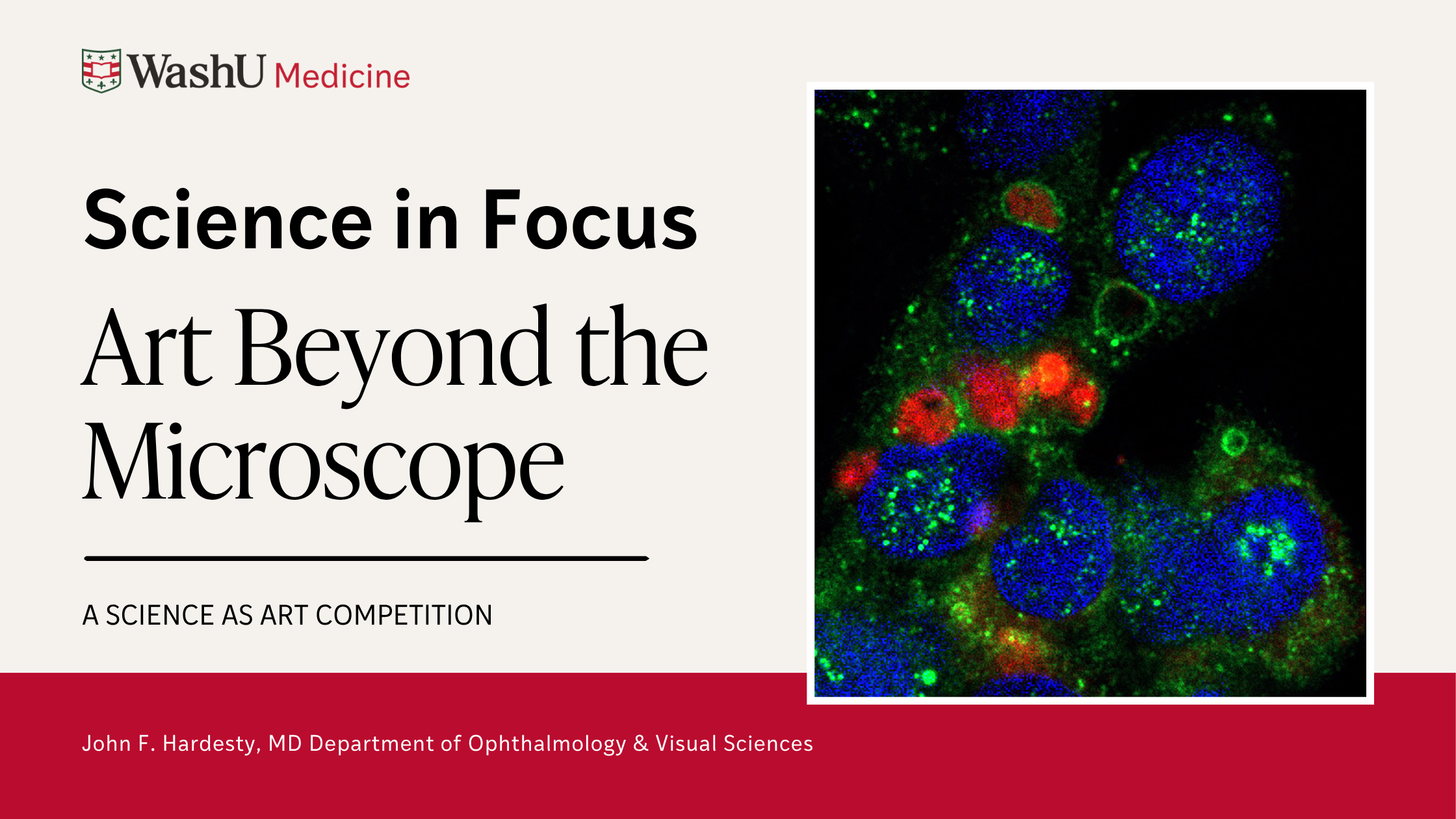 2026 Science in Focus: Art Beyond the Microscope
