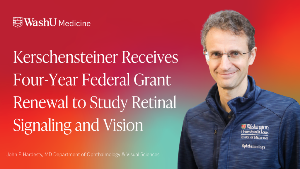 Kerschensteiner Receives Four-Year Federal Grant Renewal to Study Retinal Signaling and Vision