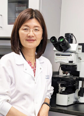 Yuefang Zhou, PhD